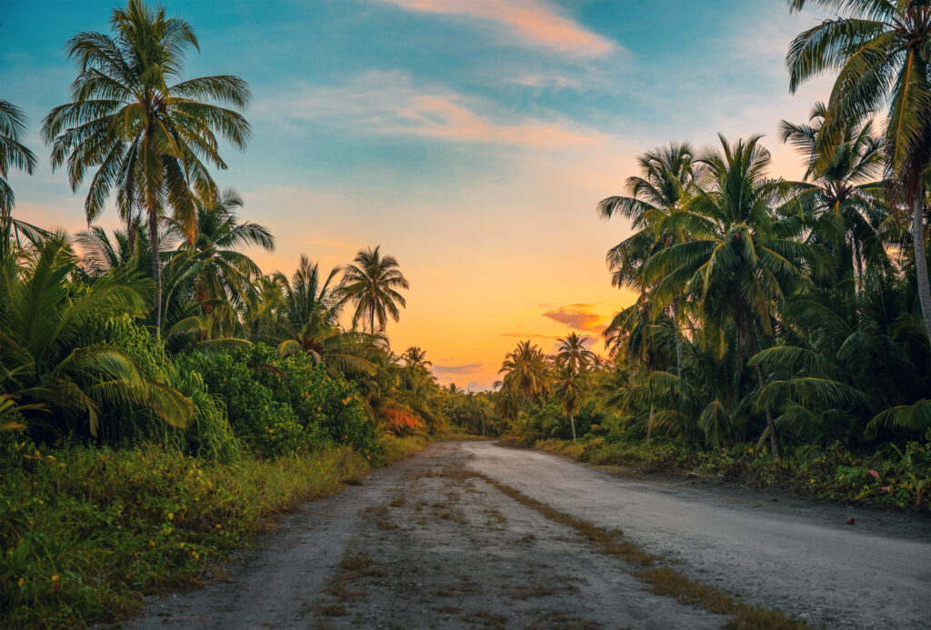 Escape to Ulpotha: A Tranquil Wellness Retreat in the Jungles of Sri Lanka