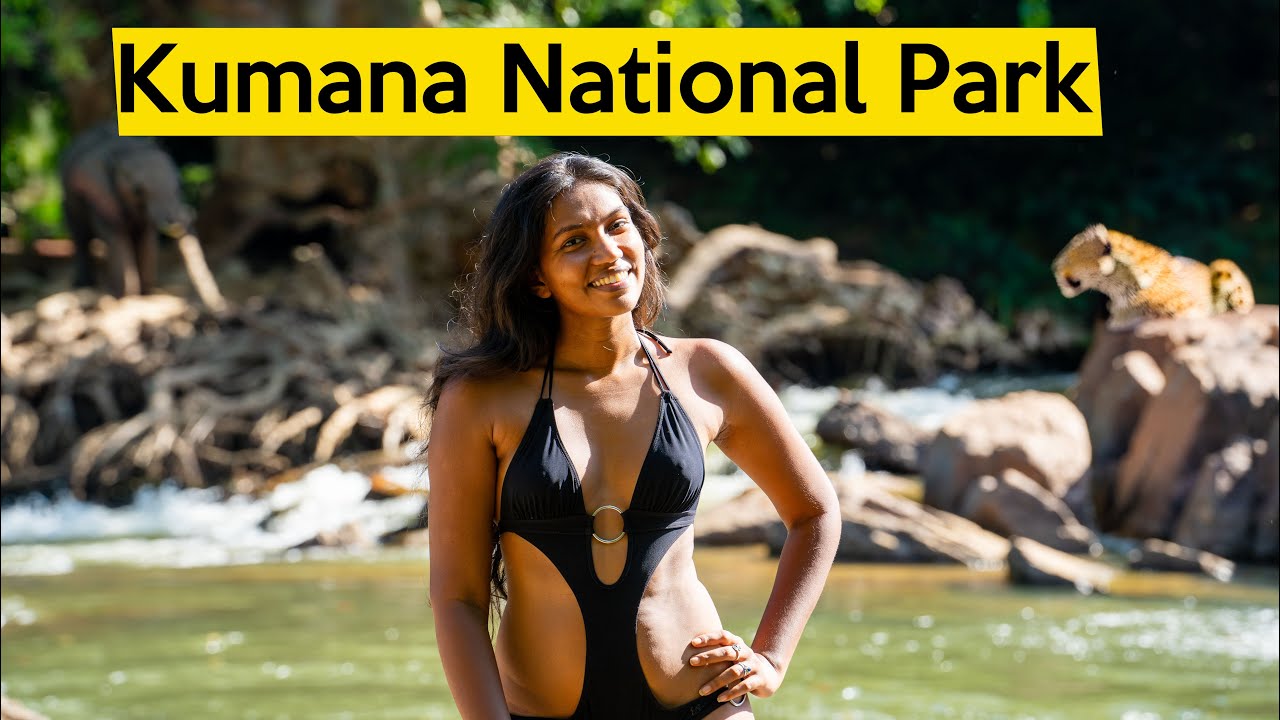 Exploring Kumana National Park: A Hidden Gem on Sri Lanka's East Coast ...